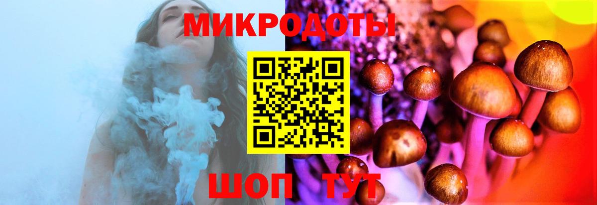 Галлюциногенные грибы Magic Shrooms Нерюнгри